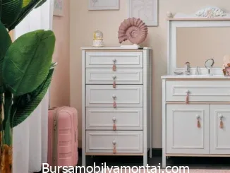 Bursa Osmangazi Hamitler Mahallesi Şifonyer Kurulumu